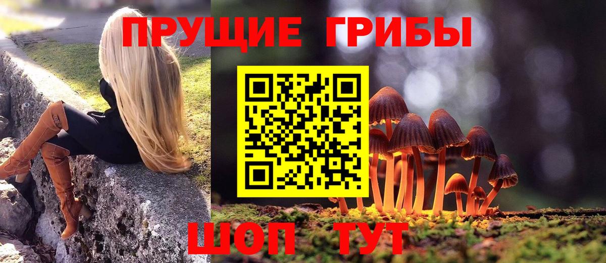 Коммунар  Галлюциногенные грибы мухоморы  Вход с VPN 